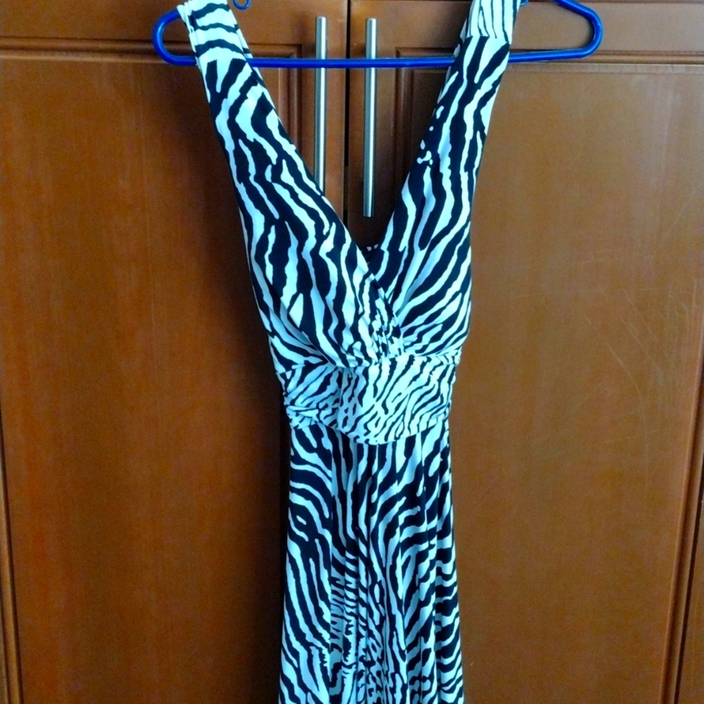Zebra dress